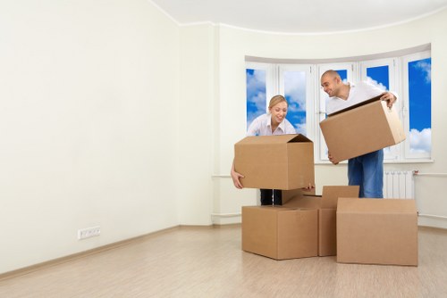 Accessibility statement introduction for Westminster Removals